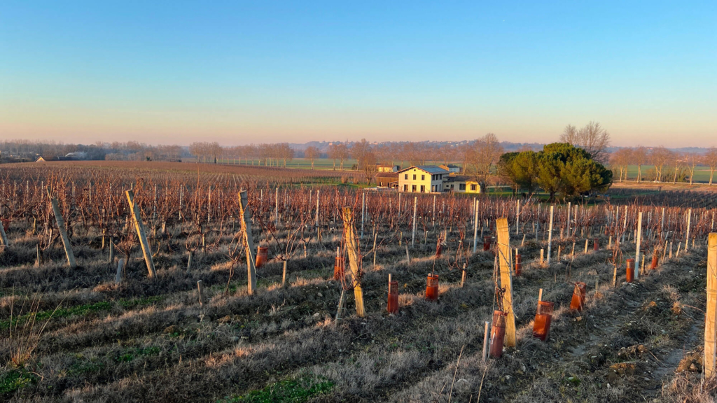 propriete-1-domaine-courbon
