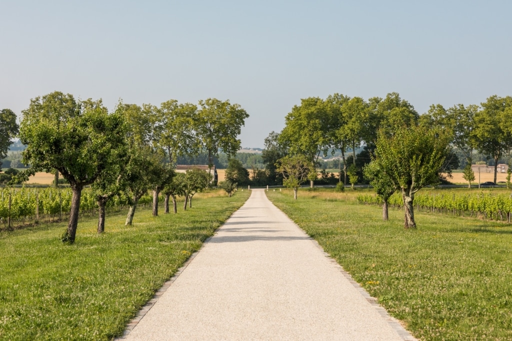 Domaine de courbon chemin