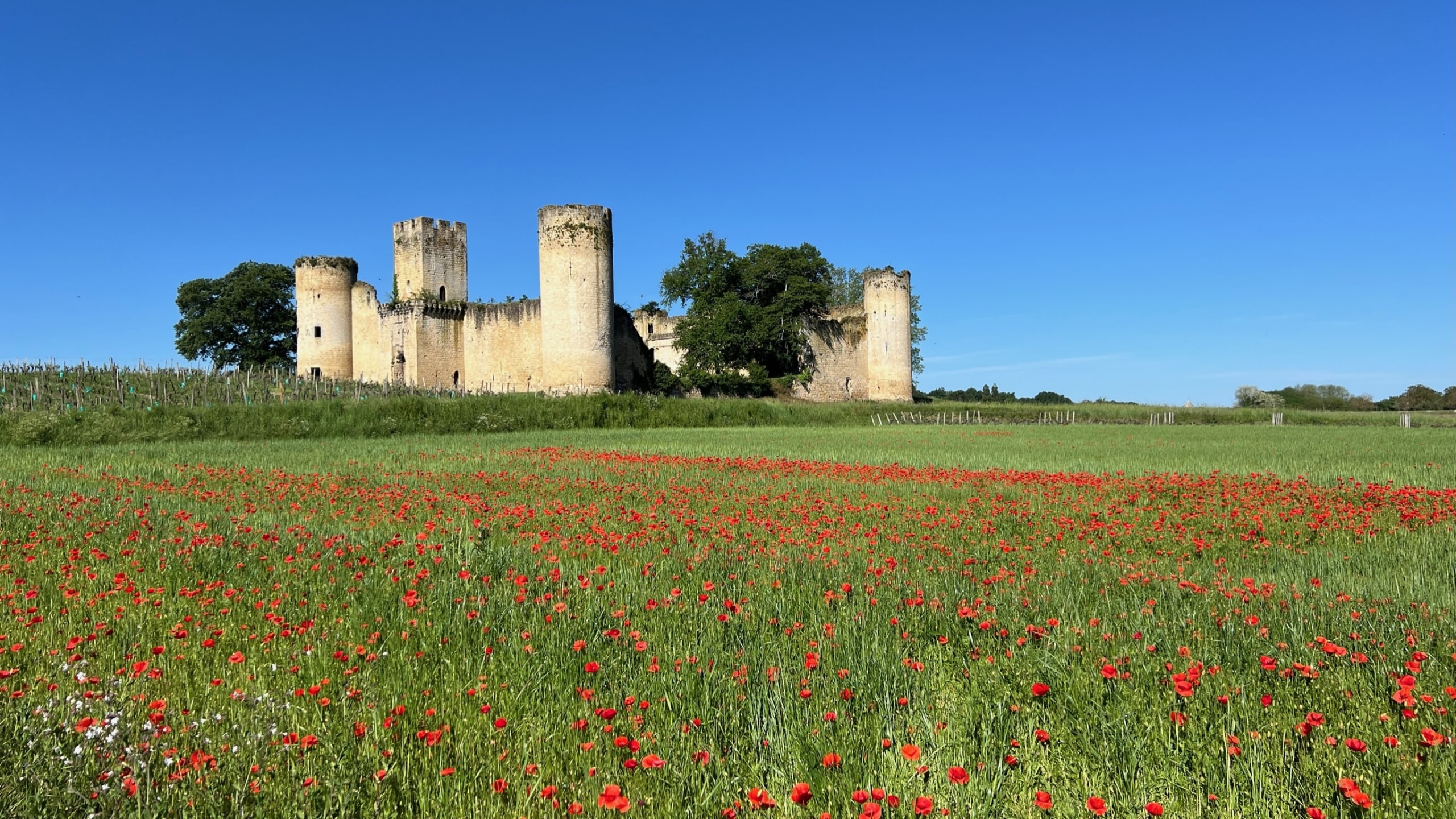 Chateau de Budos