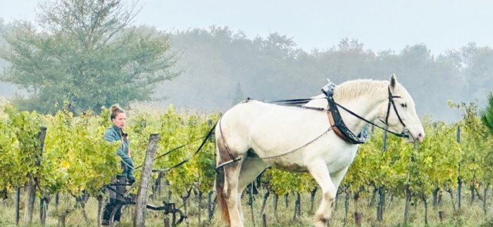 Juliette au Domaine Courbon @lestraitsdegaia