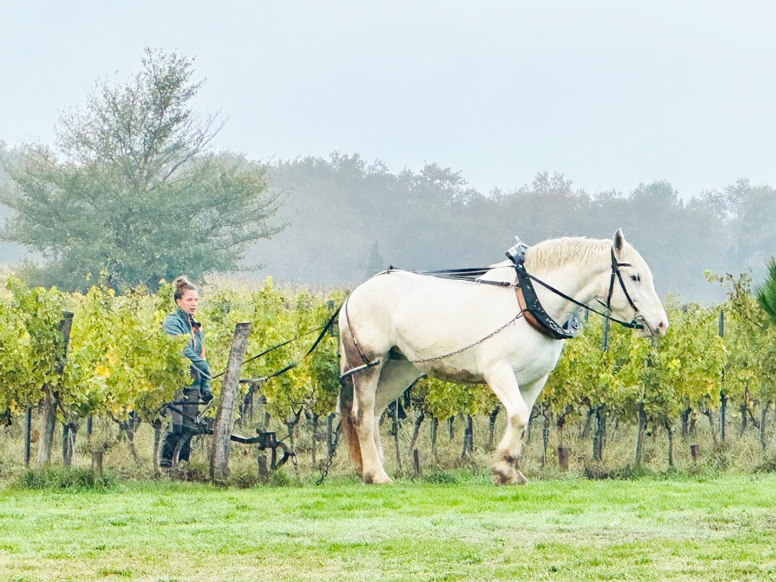 Juliette au Domaine Courbon @lestraitsdegaia